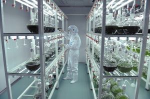 食品無(wú)菌室的建造要求與日常管理
